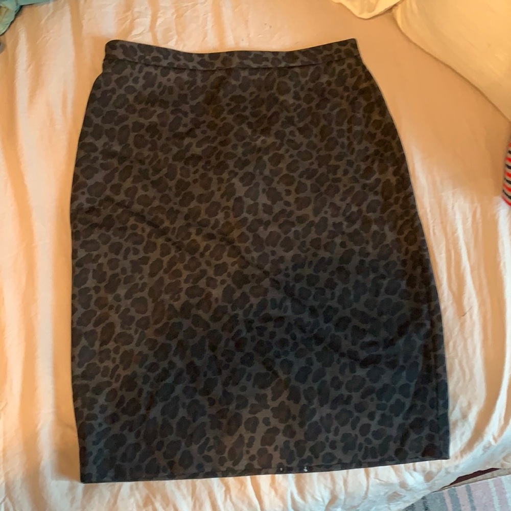 Ann Taylor Skirt